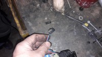 6263_20181020-124549.jpg