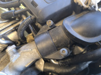 IMG_20250201_103050 (1).jpg